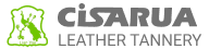 logo main